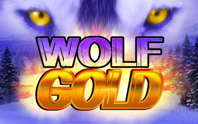 Experimenta la aventura de Wolf Gold con bonos y multiplicadores en 1xBet oficial.